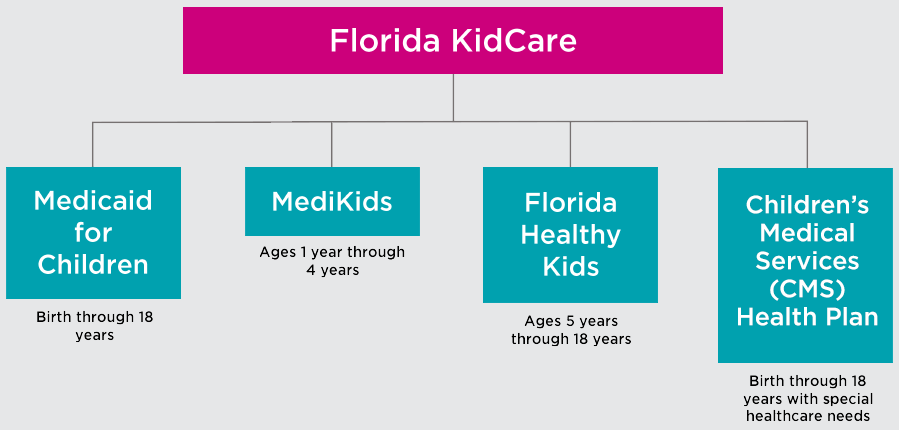 Florida KidCare Program Breakdown
